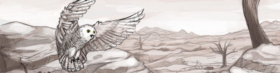 المدونة - Header 3