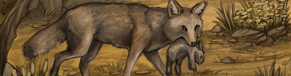 المدونة - Header 4