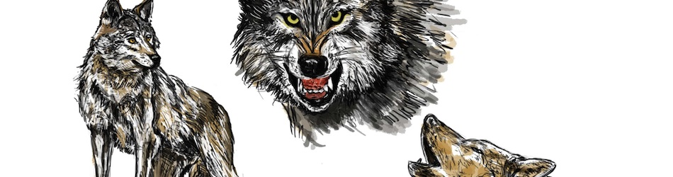 Scorpius Forge Blog - Header 6