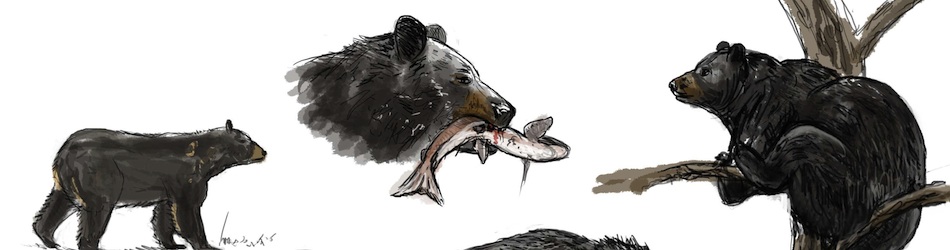 Société - Header 4