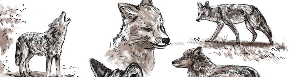 Société - Header 9