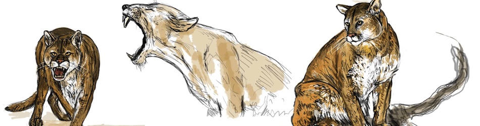 Lavora con noi - Header 2