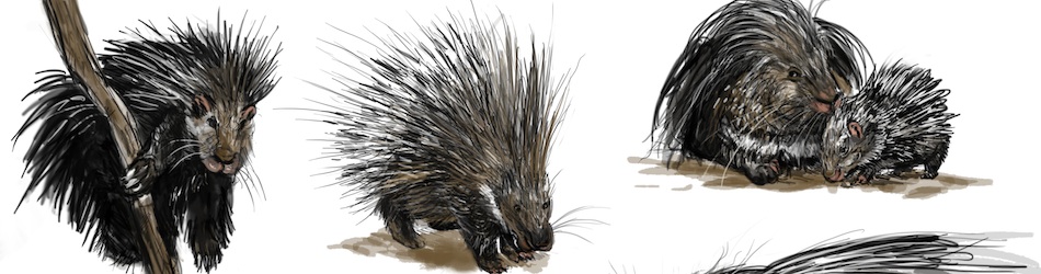 Przedsiębiorstwo - Header 8