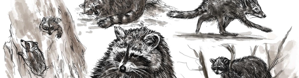 Контакт - Header 10